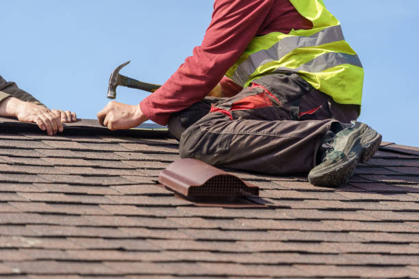 Best Storm Damage Roof Repair  in Ridgely, TN