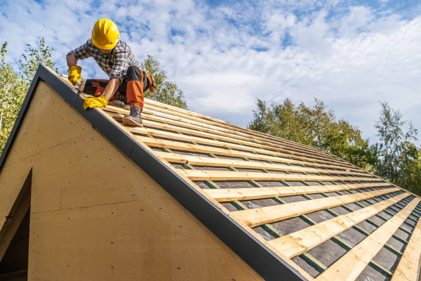 Best Metal Roofing Contractor  in Ridgely, TN
