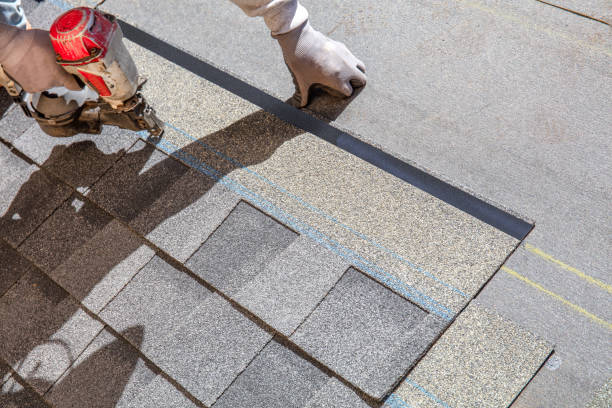 Best Local Roofing Companies  in Ridgely, TN