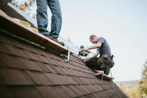 Roof Repair Estimates in Ridgely, TN
